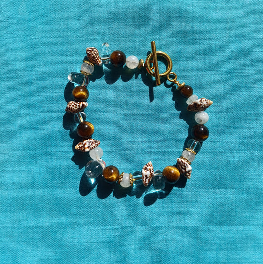 bracelet coquillage rayé